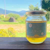 ニホンミツバチ日本蜜蜂生ハチミツ生蜂蜜1120g ニホンミツバチ日本蜜蜂生ハチミツ生蜂蜜1120g