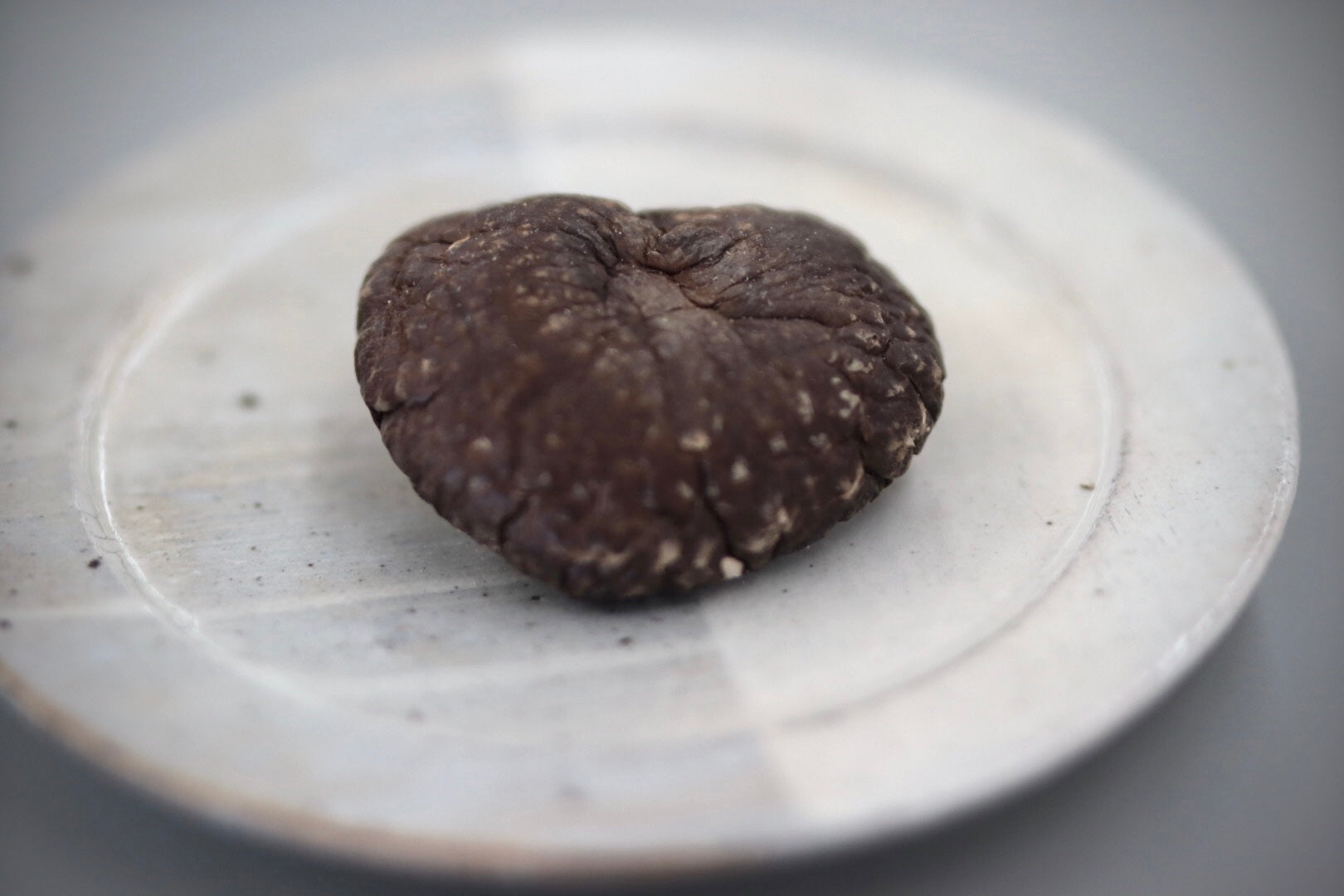 たぁ坊の乾燥椎茸205g 大葉厚肉 ギフト向け – online shop EBESSAN
