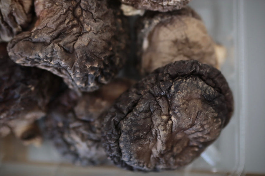 たぁ坊の乾燥椎茸１００g　中葉厚肉